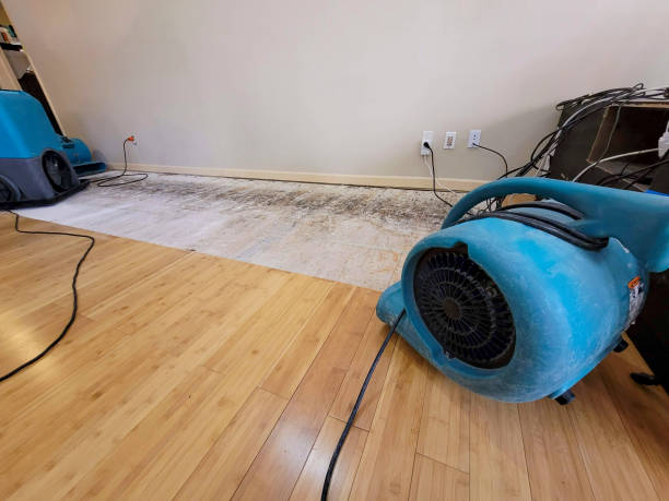 Professional Water Extraction technician working in Egypt, TX